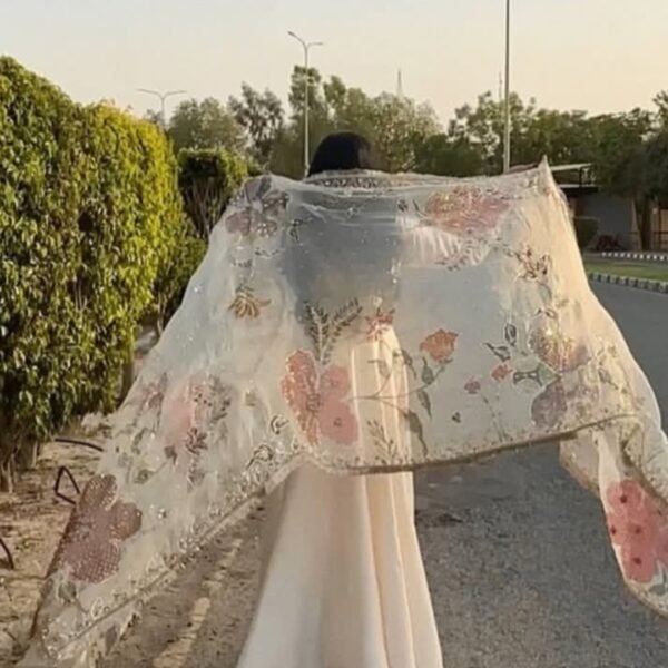 Peshawas & Hand painted Organza Dupatta Set - Image 7