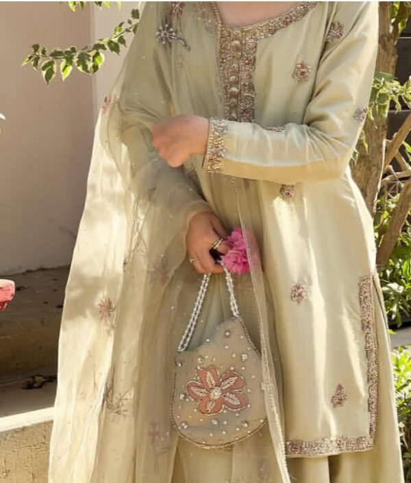 Silk Kameez & Sharara | Occasional Wear Dress - Image 5